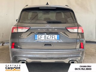 FORD Kuga 1.5 ecoblue st-line 2wd 120cv 3