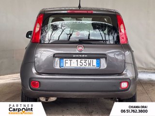 FIAT Panda 1.2 easy s&s 69cv my19 3