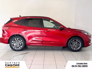 FORD Kuga 1.5 ecoblue st-line 2wd 120cv 4